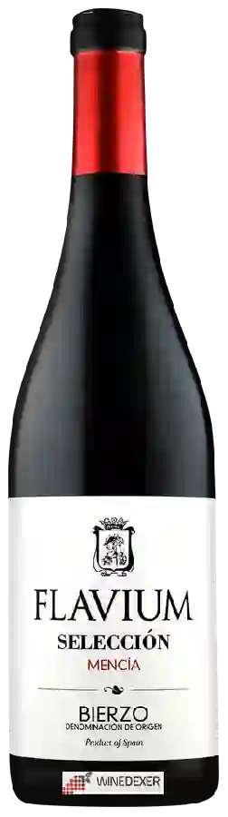 Winery Arganza - Flavium Selección Bierzo