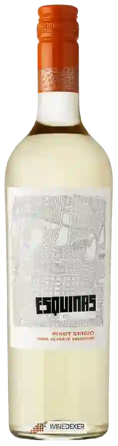 Winery Argento - Esquinas de Argento Pinot Grigio