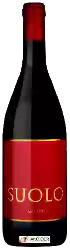 Winery Argiano - Suolo