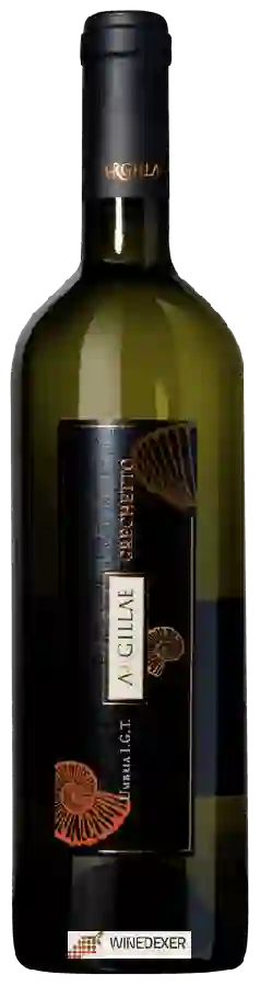 Winery Argillae - Grechetto Umbria