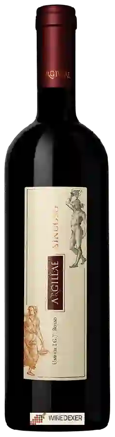 Winery Argillae - Sinuoso Umbria Rosso