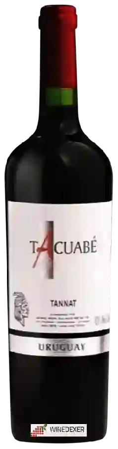 Winery Ariano Hermanos - Tacuabé Tannat Winery Ariano Hermanos - Tacuabé Tannat