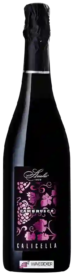 Winery Ariola - Lambrusco Amabile Terre di Calicella