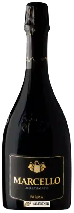 Winery Ariola - Marcello Millesimato