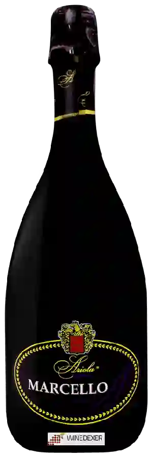 Winery Ariola - Marcello Winery Ariola - Marcello