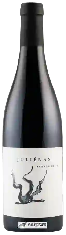 Winery Armand Heitz - Julienas