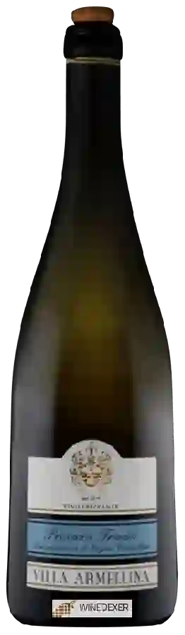 Winery Villa Armellina - Prosecco Treviso Winery Villa Armellina - Prosecco Treviso