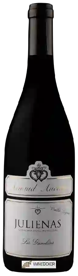 Winery Arnaud Aucoeur - Les Granilites Vieilles Vignes Juliénas
