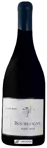 Winery Arnaud Ente - Bourgogne Pinot Noir