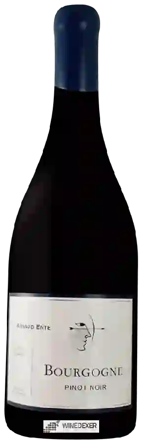 Winery Arnaud Ente - Bourgogne Pinot Noir