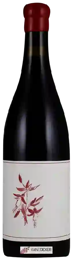 Winery Arnot-Roberts - Coastlands Vineyard Pinot Noir