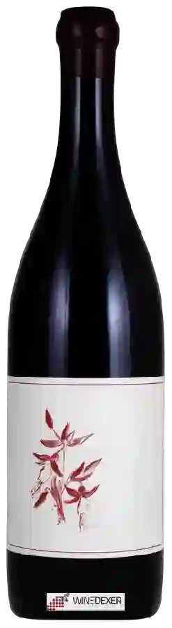 Winery Arnot-Roberts - Griffin's Lair Vineyard Syrah