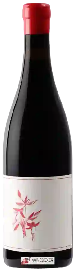 Winery Arnot-Roberts - Heaven Earth Vineyard Pinot Noir