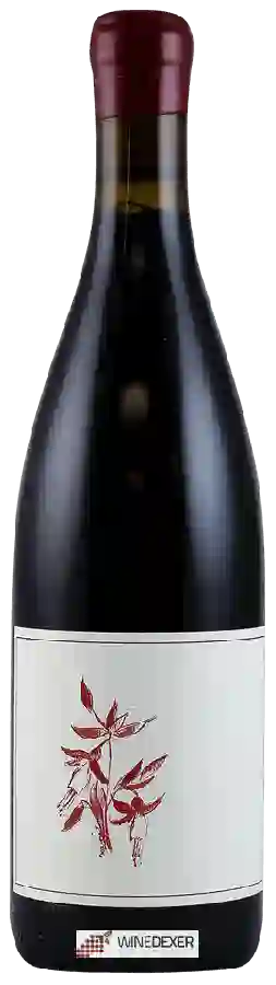 Winery Arnot-Roberts - Que Syrah Vineyard Syrah