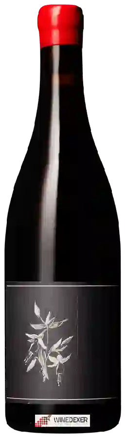 Winery Arnot-Roberts - Trousseau Winery Arnot-Roberts - Trousseau