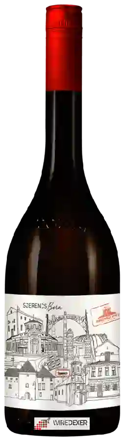 Winery Arpad Hegy Pince - Szerencs Bora