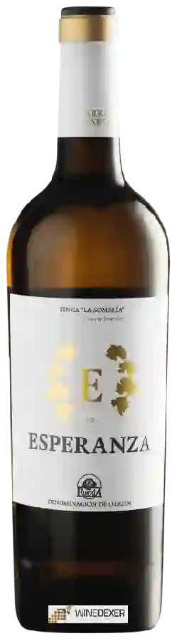 Winery Arriezu Vineyards - E de Esperanza