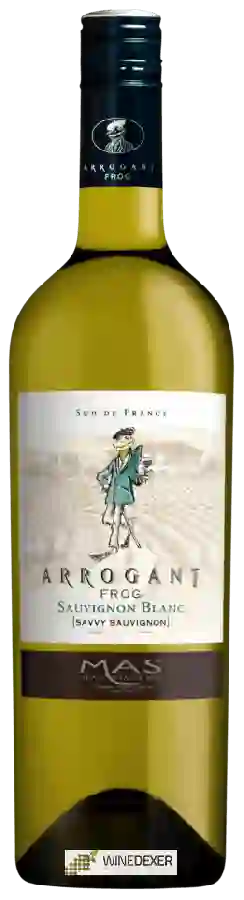 Winery Arrogant Frog - Savvy Sauvignon