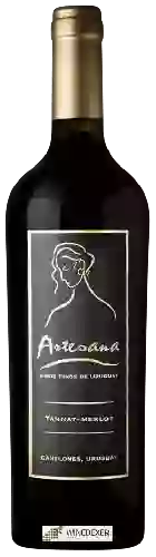 Winery Artesana - Tannat - Merlot
