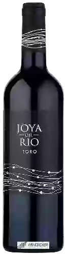 Winery Artiga - Joya del Rio