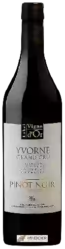 Winery Artisans Vignerons d'Yvorne - Label Vigne d'Or Grand Cru Pinot Noir