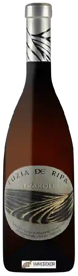 Winery Arzabro Txakolina - Luzia de Ripa