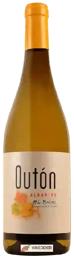 Winery As Laxas - Outón Albariño