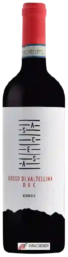 Winery Ascesa - Rosso di Valtellina Winery Ascesa - Rosso di Valtellina