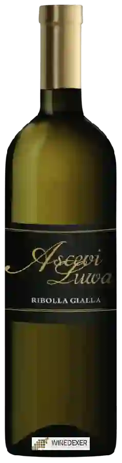 Winery Ascevi Luwa - Ribolla Gialla