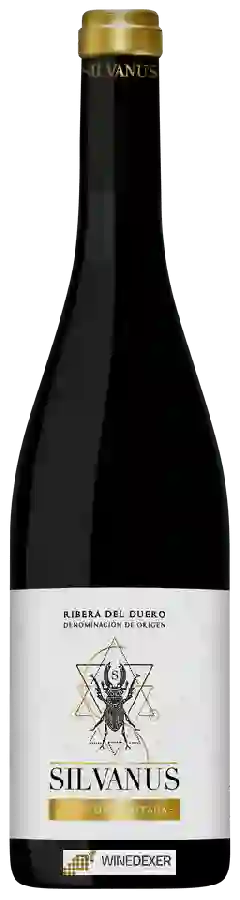 Bodegas Asenjo & Manso - Silvanus Edicion Limitada Ribera del Duero