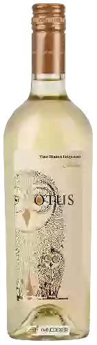 Winery Asio Otus - Bianco