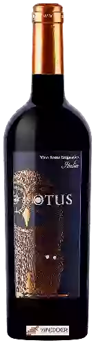 Winery Asio Otus - Rosso