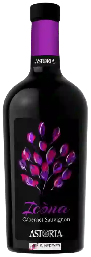 Winery Astoria - Icóna Cabernet Sauvignon