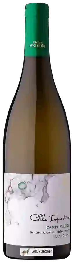 Winery Cantine Astroni - Colle Imperatrice Campi Flegrei Falanghina Winery Cantine Astroni - Colle Imperatrice Campi Flegrei Falanghina