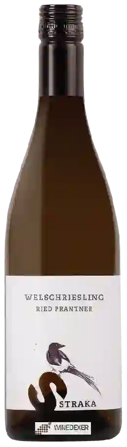 Winery Straka - Prantner Welschriesling