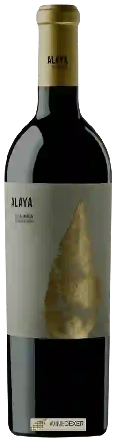 Winery Atalaya - Alaya