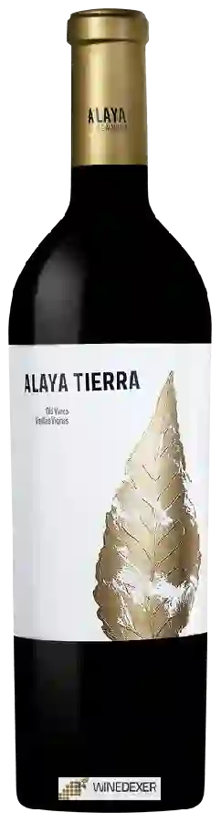 Winery Atalaya - Alaya Tierra (Old Vines Vieilles Vignes)
