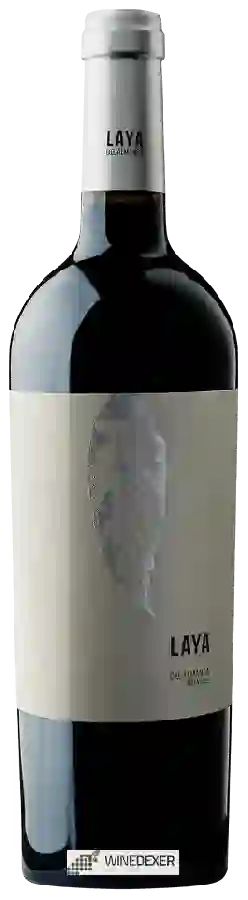 Winery Atalaya - Laya Winery Atalaya - Laya