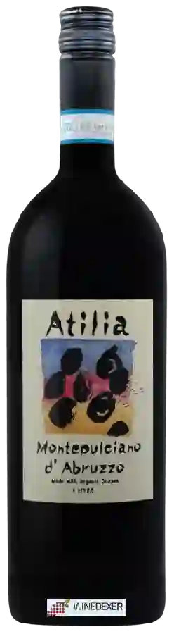 Winery Atilia - Montepulciano d'Abruzzo Winery Atilia - Montepulciano d'Abruzzo