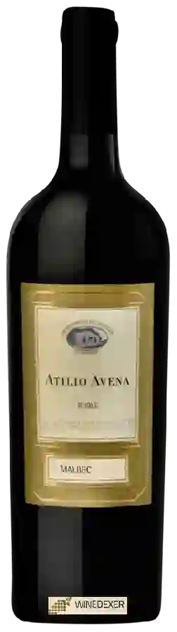 Winery Atilio Avena - Roble Malbec