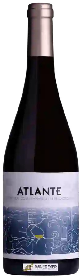 Winery Atlante - Albillo Criollo - Listán Blanco