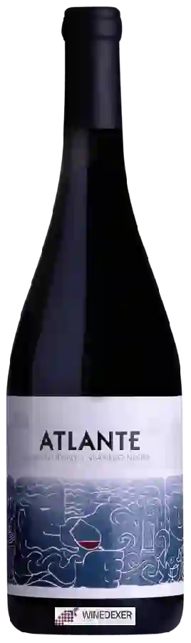 Winery Atlante - Listán Negro - Vijariego Negro Winery Atlante - Listán Negro - Vijariego Negro