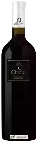 Winery Atrivm - Orcia