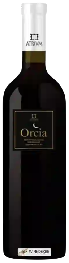 Winery Atrivm - Orcia