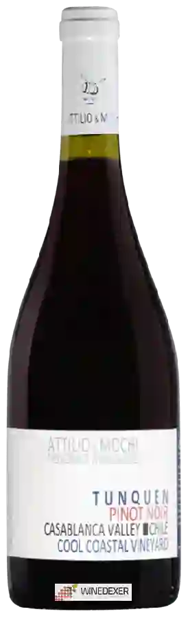 Winery Attilio & Mochi - Tunquen Cool Coastal Vineyard Pinot Noir Winery Attilio & Mochi - Tunquen Cool Coastal Vineyard Pinot Noir