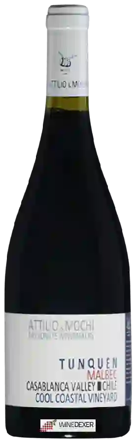 Winery Attilio & Mochi - Tunquen Cool Coastal Vineyard Malbec