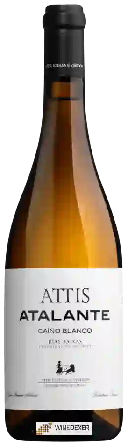 Winery Attis - Attis Atalante Caíño Blanco