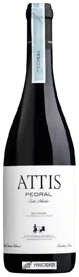 Winery Attis - Attis Pedral