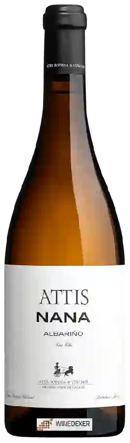 Winery Attis - Nana Albariño Winery Attis - Nana Albariño