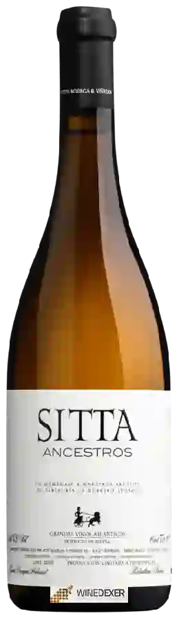 Winery Attis - Sitta Ancestros Winery Attis - Sitta Ancestros